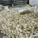 قیمت گز صادراتی