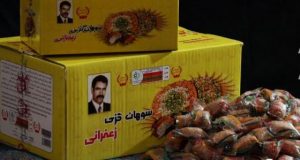 سوهان گز مجتبی قربانی